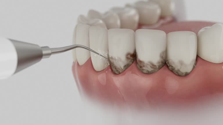 Reliable Dental contractor in Kenwood Estates, FL by Dentist Open Now